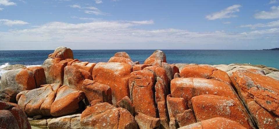 Swimming at Bay Of Fires-Bondi Joe Swimwear